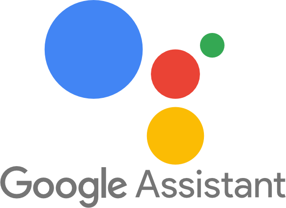 logo google